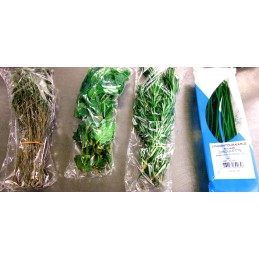 Mix 4 herbes en sachet import