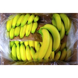 BANANES CAVENDISH import...