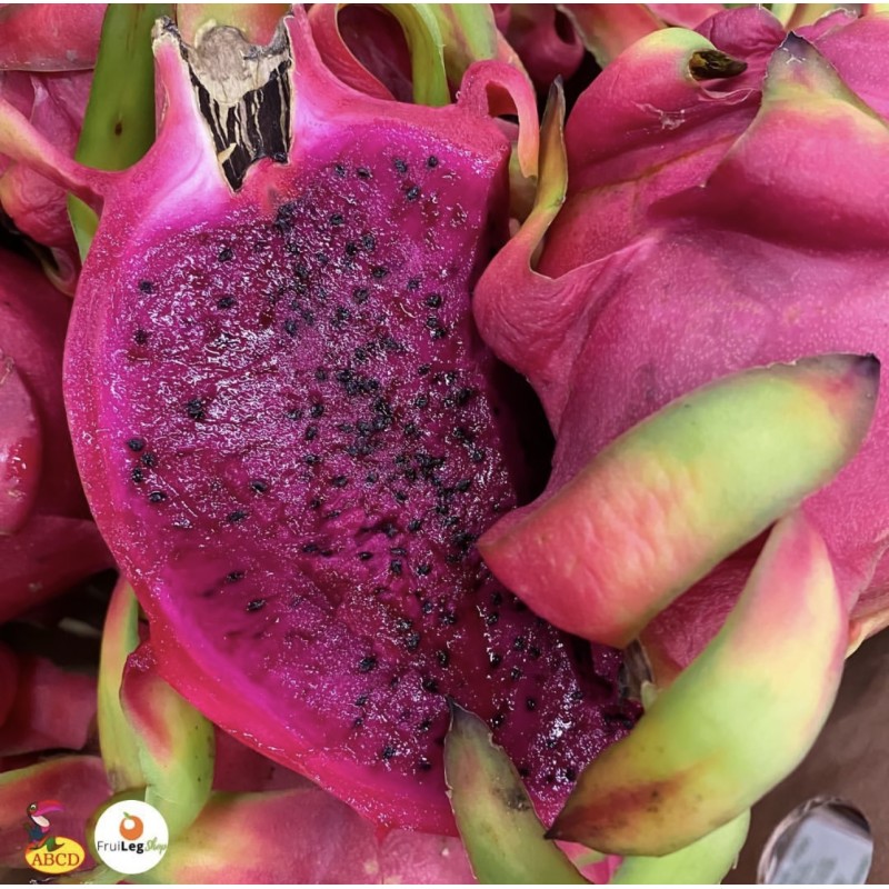 Pitaya rouge. Achat directement sur internet