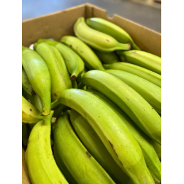 Banane plantain verte import