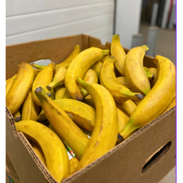 Banane plantain jaune import