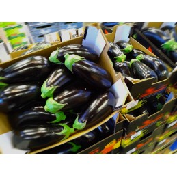 Aubergine noire import